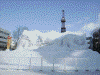 ３丁目の雪像：「北の動物たち」とテレビ塔
