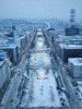 テレビ塔から雪まつり大通会場を望む(1)