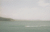 横浪半島から見る土佐湾