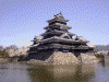 松本城の桜(10)