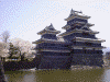 松本城の桜(3)