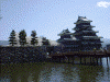 松本城の桜(6)