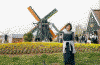 キンデルダイクの風車(2)