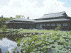 宇佐神宮宝物館とハスの池(2)