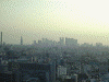 シビックセンターからの眺め(3)：新宿超高層ビル群