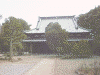 豪徳寺(3)