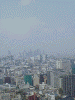 東京タワーからの眺め(1)：新宿超高層ビル群