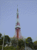 東京タワー(2)：赤羽橋交差点近くで