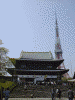 増上寺：本堂と東京タワー(2)
