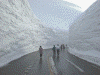 雪の大谷(2)
