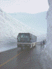 雪の大谷(16) 美女平から高原バスがやってきた